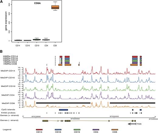 Figure 4. DNA methylation and gene expression of the CD8A gene as representative rHMR. Detailed illustration of CD8A as an example of a potentially rHMR. (A) Gene expression (ie, messenger RNA) levels of CD8A in leukocyte cell subsets. Gene expression is given as log-fold change of signal intensity. (B) DNA methylation profile of the CD8A gene in individual cell subsets. (Top panel) HMRs identified by the K450 array in the different cell subsets are displayed as a colored bar indicating extend of the HMR. (Middle panel) Raw MeDIP-seq analyses are plotted as number of mapped methylated DNA fragments. The extent of HMRs within CD8+ T-cells is indicated by a black bar. (Bottom panel) The location of CGIs (blue boxes), location of K450 array probes, and the position of the CD8A gene mapped to the reference genome. TSS and gene orientation are indicated by a black arrow.