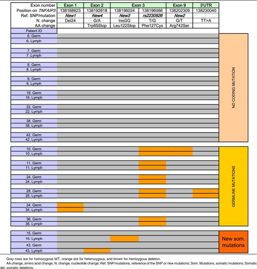 TNFAIP3 abnormalities among 20 patients with both germline and somatic sequences available: patients without coding mutation or with germline or somatic mutations of TNFAIP3
