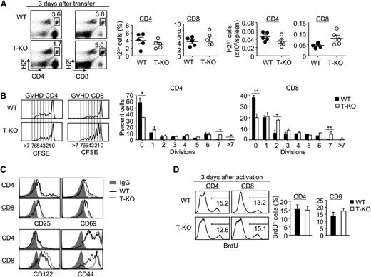 Figure 2. Ezh2 deficiency does not affect the initial activation and proliferation of donor T cells during alloantigen-priming phase. (A-C) Donor CD44lo T cells (ie, CD4+ + CD8+ T cells) derived from WT or T-KO B6 mice were labeled with CFSE and transplanted with TCD BM into lethally irradiated BALB/C recipients. Three days later, donor T cells were recovered from these BALB/C recipients for analysis. (A) Dot plots show the fraction of donor-derived H2b+ CD4+ or CD8+ T cells, and graphs show the percentage and absolute number of donor T cells. (B) Histograms show the CFSE dilution in donor T cells activated in allogeneic recipients. Graphs show the percentage of donor-derived T cells at each division. (C) Cells were collected for flow cytometry analysis. Histograms show the expression of CD25, CD69, CD122, and CD44 in donor-derived T cells. (D) CD44lo T cells derived from WT or T-KO B6 mice were stimulated by BALB/C BM-derived DCs. Three days later, cells were pulsed with BrdU for 2 hours to measure the incorporation of BrdU. Histograms and graphs show the percentage of T cells with BrdU incorporation. *P < .05, **P < .01. Error bars indicate mean ± SD. Data are representative of 2 independent experiments.