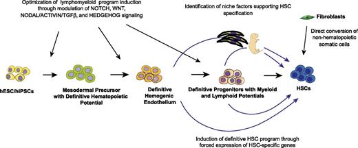Figure 4. Potential approaches for de novo induction of HSCs.