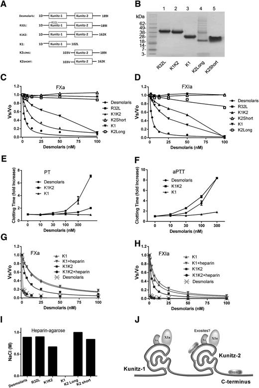 Figure 6. Functional domains of Desmolaris. (A) Domain representation for Desmolaris. All truncated forms were designed based on sites of introns determined for TFPI,12 as indicated in Figure 1B. (B) SDS-PAGE of the mutated and truncated forms of Desmolaris. Gels were Coomassie Blue-stained. Lane 1, R32L; lane 2, K1K2; lane 3, K1; lane 4, K2Long; lane 5, K2Short. (C) Effects on the catalytic activity of FXa. FXa (1 nM) was incubated for 30 minutes with the indicated forms of Desmolaris followed by addition of S2222 (250 μM). The ratio Vs/Vo obtained was plotted against Desmolaris concentration and data fitted (when appropriate) with the Morrison equation to calculate the IC50 for each form. (D) Effects on the catalytic activity of FXIa. FXIa (1 nM) was incubated for 30 minutes with the indicated forms of Desmolaris followed by addition of S2366 (250 μM). The ratio Vs/Vo obtained was plotted against Desmolaris concentration and data fitted (when appropriate) with the Morrison equation to calculate the IC50 for each form. (E) Effects on the PT. Desmolaris forms were incubated with plasma followed by addition of PT reagent and Ca2+. Clotting was estimated with a coagulometer. Reference time is 14.6 seconds. (F) Effects on the aPTT. Desmolaris forms were incubated with plasma followed by addition of aPTT reagent and Ca2+. Clotting was estimated with a coagulometer. Reference time was 35.9 seconds. (G) Effects of heparin on FXa inhibition by K1 and K1K2. Comparison with Desmolaris. Experiments were performed as in panel C in the absence or presence of heparin (1 μg/mL) and the indicated concentrations of Desmolaris forms. FXa, 0.5 nM. Data points were fitted with Morrison equation. (H) Effects of heparin on FXIa inhibition by K1 and K1K2. Comparison with Desmolaris. Experiments were performed as in panel D in the absence or presence of heparin (1 μg/mL) and the indicated concentrations of Desmolaris forms. FXIa, 0.5 nM. Data points were fitted with Morrison equation. (I) Interaction of Desmolaris forms with a heparin-agarose column. Desmolaris, R32L, K1K2, K1, K2Long, or K2Short were loaded in the heparin column and equilibrated in TBS, pH 7.4. A total of 200 μL of each form at ∼20 μM were applied. After washing the column, a gradient (NaCl, 0-2 M) was applied for 40 minutes. The peak corresponding to Desmolaris eluted at ∼1 M NaCl. (J) Diagram of the putative interactions of Desmolaris domains with FXa, FXIa, and heparin. ?, putative interactions with exosites of FXIa or FXa.
