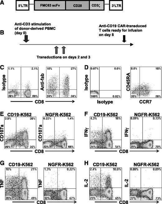 Figure 1. An anti-CD19 CAR gives T cells the ability to specifically recognize CD19. (A) The CAR incorporated an anti-CD19 single chain Fv (scFv), part of the CD28 costimulatory molecule, and the cytoplasmic part of the CD3ζ molecule. (B) PBMCs from healthy allogeneic donors were activated with an anti-CD3 monoclonal antibody and transduced with gammaretroviruses encoding an anti-CD19 CAR. The cells were infused after 8 days of culture. (C) Expression of the CAR was detected on the surface of the infusion cells of patient 1 on day 7 of culture by staining with anti–antigen-binding fragment (Fab) antibodies. Staining with isotype-matched control antibodies is also shown. The plots are gated on CD3+ lymphocytes. (D) The infusion cells of patient 1 were stained for CD45RA and CC chemokine receptor 7 (CCR7). Staining with isotype-matched control antibodies is also shown. The staining was performed on day 7 of culture, and the plots are gated on CAR-expressing CD3+ lymphocytes. (E) On day 8 of culture, infusion cells of patient 1 were cultured for 4 hours with either the CD19+ cell line CD19-K562 or the negative-control cell line NGFR-K562 that does not express CD19. CD19-specific upregulation of CD107a occurred. Plots are gated on CD3+ lymphocytes. Similar results were obtained with the infusion cells of all patients treated. (F-H) A representative example of CD19-specific cytokine production by anti-CD19-CAR T cells is shown. Infusion cells of patient 4 were stimulated with either CD19-K562 cells or NGFR-K562 cells for 6 hours on day 8 of culture. Intracellular cytokine staining followed by flow cytometry revealed that large fractions of the T cells produced interferon γ (IFN-γ), tumor necrosis factor (TNF), and interleukin (IL) 2 in a CD19-specific manner. Plots are gated on CD3+ lymphocytes.