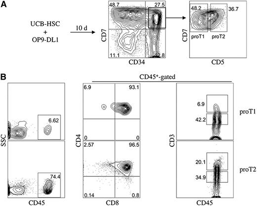 Figure 1. Flow cytometric analysis of engraftment and differentiation of in vitro–derived CD34+ CD7++ CD5− (proT1)- and CD34+ CD7++ CD5+ (proT2)-cells in immunodeficient mice. (A) Human UCB CD34+CD38−/lo cells were differentiated on OP9-DL1 cells for 10 days and CD34+CD7++ CD5− (proT1)- and CD34+ CD7++ CD5+ (proT2)-cells were sorted by flow cytometry. (B) Neonatal NSG mice were injected intrahepatically with 2.0 × 105 cells of either subset (n ≥ 8 mice/group). Thymuses were harvested after 4 weeks and stained for CD45, CD4, CD8, and CD3. The percentage of human CD45+ cells present in the thymus of NSG mice transplanted with proT1-cells (average thymus cellularity 27.6 × 104 ± 6.6 × 104) or proT2 cells (average thymus cellularity 31.6 × 104 ± 4.0 × 104) are shown. CD4, CD8, and CD3 cell surface expressions are shown on CD45+-gated thymocytes. The results shown are representative of at least 3 independent experiments. SSC, side scatter.