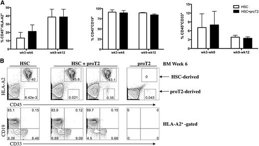 Figure 3. Analysis of engraftment and differentiation of HSCs and proT2-cells in the BM of immunodeficient mice. (A) Percentage of human CD45+HLA-A2+ (left), CD19 (middle), and CD33 (right) HSC-derived engraftment at 3 to 6 weeks, and 9 to 12 weeks after intrahepatic injection of neonatal NSG mice receiving either HSCs (white) or HSCs with proT2-cells (black). (B) Flow cytometric analysis of CD45 vs HLA-A2, and CD19 and CD33 on CD45+HLA-A2+–gated cells in the BM at 6 weeks postintrahepatic injection. Table 2 shows the number of mice analyzed. The results shown are representative of at least 3 independent experiments.