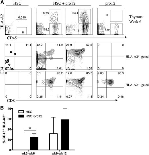Figure 4. Analysis of engraftment and differentiation of HSCs and proT2-cells in the thymus of immunodeficient mice. (A) Flow cytometric analysis of CD45 vs HLA-A2, and CD4 and CD8 on CD45+HLA-A2+–gated (HSC-derived) and CD45+HLA-A2− –gated (proT2-derived) cells in the thymus at 6 weeks after intrahepatic injection of NSG mice receiving either HSCs, HSCs with proT2-cells, or proT2-cells. (B) Percentage of human CD45+HLA-A2+ HSC-derived engraftment at 3 to 6 weeks and 9 to 12 weeks after intrahepatic injection of neonatal mice receiving either HSCs (white) or HSCs with proT2 cells (black). Table 2 shows the number of mice analyzed. The results shown are representative of at least 3 independent experiments. *P < .05.