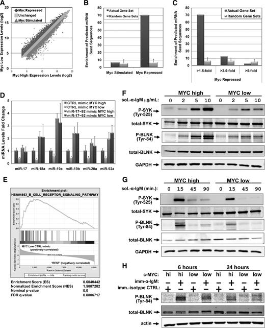 Figure 1. Myc-repressed transcripts are enriched for miR-17∼92 targets and BCR signaling components. (A) mRNA profiling was performed on P493-6 cells grown in the absence (MYCHIGH) or presence (MYCLOW) of 1μM doxycycline for 48 hours. Log2 gene expression levels were plotted for MYCHIGH vs MycLOW. Genes repressed or stimulated >1.5-fold by Myc are denoted. (B) SigTerms analysis comparing the enrichment of predicted miRNA seed sequences in Myc-stimulated vs Myc-repressed genes. Predictions are based on the TargetScan algorithm. One hundred random gene sets of the same sample size were used as a control. The average and SD of those random gene sets are plotted. (C) SigTerms analysis (as in panel B) comparing genes repressed by Myc >1.5-fold, >2.5-fold, and >5-fold. (D) P493-6 cells grown in the absence (MYCHIGH) or presence (MYCLOW) of 1μM doxycycline were treated with control mimic or miR-17∼92 mimic mix for 48 hours. RNA was isolated and qPCR was performed to quantitate changes in miRNA levels. RNU6B was used as an endogenous control and values are relative to MYC high/CTRL mimic. The average of 4 repetitions is reported. Error bars represent the SD. (E) mRNA profiling was performed on the cells from (D). GSEA was performed comparing the MYCLOW/CTRL mimic-treated cells to the “REST” (MYCLOW/miR-17∼92 mimic, MYCHIGH/CTRL mimic, and MYCHIGH /miR-17∼92 mimic). MYCLOW/CTRL mimic-treated cells are enriched for components of the BCR signaling pathway. The GSEA enrichment score, normalized enrichment score, P value, and FDR are indicated. For panels F through H, P493-6 cells were grown in the absence (MYCHIGH) or presence (MYCLOW) of 1μM doxycycline for 48 hours prior to various treatments with anti-IgM. Western blotting was performed for P-spleen tyrosine kinase (P-SYK), total-SYK, P-B–cell linker protein (BLNK), total-BLNK, and either GAPDH or actin. (F) P493-6 cells were treated with increasing amounts of soluble anti-IgM for 15 minutes to ligate the BCR. (G) P493-6 cells were treated with 10 μg/mL soluble anti-IgM to ligate the BCR. Samples were harvested at times indicated. (H) P493-6 cells were treated with immobilized anti-IgM (imm-α-IgM) or immobilized isotype control (imm-isotype-CTRL) for 6 or 24 hours. GAPDH, glyceraldehyde-3-phosphate dehydrogenase; qPCR, quantitative PCR.