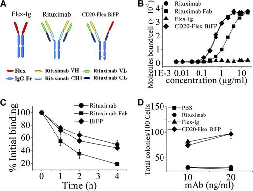 Figure 1. Characterization of CD20-Flex BiFP. (A) Schematic diagram of the Fab domain exchange resulting in the generation of CD20-Flex bispecific antibody when combined with the KiH technology. (B) Binding of 125I-labeled Fc-deleted CD20-Flex BiFP, rituximab F(ab′)2, and rituximab Fab fragment to Daudi cells. 125I-labeled Fc-deleted CD20-Flex BiFP, F(ab′)2, or Fab fragments of rituximab were incubated with Daudi cells for 2 h at 37°C. The saturation of CD20-Flex BiFP is ∼10 μg/mL, which is comparable with rituximab. The cell-bound and free 125I-labeled BiFP or mAb fragments were then separated by centrifugation through phthalate oils and the cell pellets together with bound antibody counted for radioactivity. Data from saturation binding experiments were analyzed by nonlinear least-squares regression for curve-fitting and dissociation constant estimation. Data are mean ± SD (n = 5). (C) Dissociation of 125I-labeled CD20-Flex BiFP, rituximab, and rituximab Fab from Raji cells. Cells were incubated with 125I-labeled CD20-Flex BiFP, rituximab or rituximab Fab (10 μg/mL) at 37°C for 1 h, washed twice, and resuspended. Samples of cells were taken at time 0, 1, 2, and 4 hours and then washed and analyzed. Shown are means and SD of at least 3 experiments. (D) Validated Flex function of CD20-Flex BiFP. Both Flex-Ig and CD20-Flex BiFP exhibited dose-response curves (10 and 20 ng/mL) for purified HPC colonies, as evaluated in cultures supplemented with 2 U/mL erythropoietin, 10 ng/mL interleukin-3, 20 ng/mL GM-CSF. Mean ± SD values from 4 separate experiments.