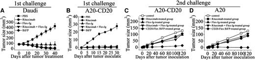 Figure 4. In vivo antitumor activity of CD20-Flex BiFP. (A) Groups of SCID mice were subcutaneously inoculated with 5×106 Daudi. When the tumors reached 8 to 10 mm in diameter, 10 mg/kg rituximab, Flex-Ig, CD20-Flex BiFP, or PBS was intravenously injected once weekly for 4 doses. Tumor size was measured 2-dimensionally with a caliper. (B-D) BALB/c mice were inoculated with A20-CD20 cells and then treated with rituximab, Flex-Ig, CD20-Flex BiFP, or rituximab combined with Flex-Ig (n = 25) (B). The antibody-treated tumor-free mice were then rechallenged with A20-CD20 (C) or A20 cells (D) subcutaneously in the opposite flank on day 42 (solid symbols). Naive mice were inoculated with A20-CD20 cells (middle) or A20 cells (right) as the control. The primary tumor material is examined through measurement of tumor size and IHC analysis. The graphs are representative of at least 5 experiments, each of which showed similar results.