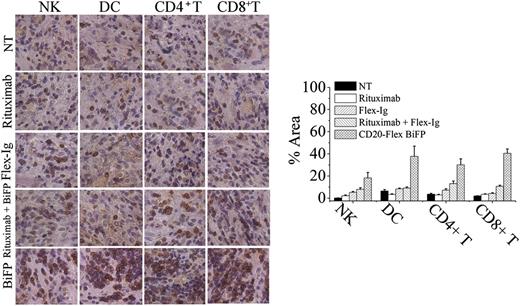 Figure 5. CD20-Flex BiFP induces infiltration of DCs and CD8+ T cells in tumor site. Tumor was removed 8 days after tumor inoculation from control Ig-, rituximab-, Flex-Ig-, or CD20-Flex BiFP-treated mice and then were embedded in Tissue-Tek OCT compound and frozen in liquid nitrogen. Tissues were sectioned on a cryostat. CD56+ NK cells, CD11c+ DC, CD4+ T cells, and CD8+ T cells were stained by a routine IHC protocol. Representative of 5 tumors in each group. Quantification of IHC images using the NIH ImageJ software package. The values are indicated as percent area in comparison with the staining obtained from the NT group.