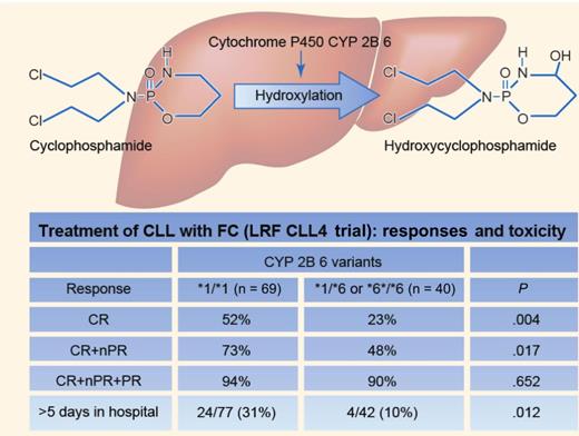 CPA needs bioactivation in the liver to 4OH-CPA by CYP enzymes, particularly CYP2B6, which occurs mainly with *1/*1 alleles (wild type). As a result of SNPs, variant alleles occur, including the *6 variant associated with reduced levels of the CYP2B6 enzyme. In CLL patients treated with FC within a controlled clinical trial, Johnson et al1 found that patients with at least one *6 allele had lower complete response rates, less toxicity, and a trend of shorter PFS than *1/*1 subjects, indicating lower CPA bioactivation by the CYP2B6 *6 enzyme variant. In contrast, no differences in outcome were detected in patients treated with chlorambucil or fludarabine. Professional illustration by Paulette Dennis.
