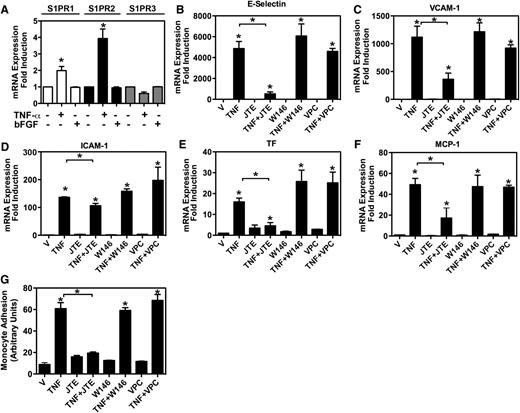 Figure 6. Critical role of S1PR2 in endothelial inflammation in vitro. (A) S1PR1, S1PR2, and S1PR3 mRNA levels in HUVEC. HUVEC were incubated with vehicle (–), TNF-α, or basic fibroblast growth factor (bFGF) in 0.5% fetal bovine serum endothelial basal media-2 for 12 hours. Shown are the results of quantitative real-time PCR analyses (fold induction TNF-α–treated vs non-treated cells). Data are mean ± SEM of three independent experiments. *P < .05 treated vs non-treated cells. (B-F) mRNA levels of E-selectin, VCAM-1, ICAM-1, TF, and MCP-1 in HUVEC. HUVEC were incubated with vehicle (V) or TNF-α (TNF) in the absence or presence of the S1PR2-specific antagonist JTE013 (JTE), the S1PR1-specific antagonist W146, or the S1PR1 and S1PR3 antagonist VPC 23019 (VPC). Shown are the results of quantitative real-time PCR analyses (fold induction TNF-α–treated vs non-treated cells). (B-G) All S1PR antagonists were used at 30 μM concentration. (G) Blockade of S1PR2 signaling in HUVEC inhibits U937 monocyte adhesion. HUVEC were treated with vehicle (V) or TNF-α (TNF) in the absence or presence of the S1PR2-specific antagonist JTE013 (JTE), the S1PR1-specific antagonist W146, or the S1PR1 and S1PR3 antagonist VPC 23019 (VPC). Results are mean ± SEM of quadruplets of 1 representative experiment of 3 experiments with similar results. *P < .05 TNF-α–treated vs non-treated cells and, where indicated, between TNF-α–treated and TNF-α+ antagonist–treated cells.