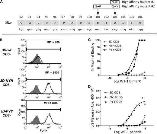 Figure 1. Generation of enhanced affinity variants of the 3D TCR. (A) Schematic of the 3D TCRα chain CDR3 region showing the location of the mutations that confer higher affinity for WT1 peptide/MHC. (B) 58−/− T cells (CD8-negative) transduced to express 3D-wt, 3D-NYH, or 3D-PYY TCRs (black line) and the 58−/− parental line as a control (gray histograms) stained with WT-1/Db DimerX at 125 nM. (C) WT-1/Db DimerX titration analysis by flow cytometry at 4°C and relative mean fluorescence intensity values were used to generate equilibrium-binding curves. (D) T-cell activation in the presence of WT-1 peptide titrated on T2-Db cells with 3D-wt, 3D-NYH, and 3D-PYY.