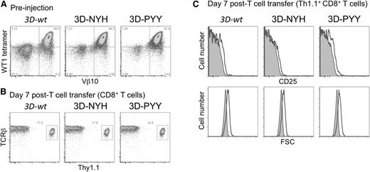 Figure 2. Analysis of TCR-transduced T cells in vivo. (A) P14 splenocytes were stimulated in vitro with gp33 peptide and transduced with the indicated 3D TCR construct, restimulated with splenocytes pulsed with the WT1 peptide after 7 days, and analyzed by flow cytometry on day 5 postrestimulation. (B and C) 10 × 106 TCR-transduced P14 T cells were transferred into irradiated B6 mice along with 10 × 106 irradiated B6 splenocytes pulsed with the WT1 peptide. Blood from treated mice (solid line) was analyzed by flow cytometry on day 7 after T-cell transfer for relative size (FSC) and CD25 expression compared with a Thy1.1+ control (shaded histogram).