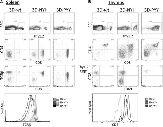 Figure 4. Analysis of retrogenic mice. 3D TCR-transduced Rag2−/− BM cells (Thy1.2) were transferred into irradiated Thy1.1 B6 recipients and analyzed more than 5 weeks posttransfer. (A) Splenocytes were analyzed for Thy1.2 expression by flow cytometry as a marker of donor-derived cells, which were gated and analyzed for CD4, CD8, and TCRβ expression. (B) Thymocytes from retrogenic mice were analyzed for Thy1.2 expression, and donor cells were then analyzed for CD4 and CD8 expression. Because the only marker of successful transduction was retrogenic TCR expression by the Rag2−/− cells, TCRβ+ cells were gated and analyzed for CD8, CD69, and CD5 expression.