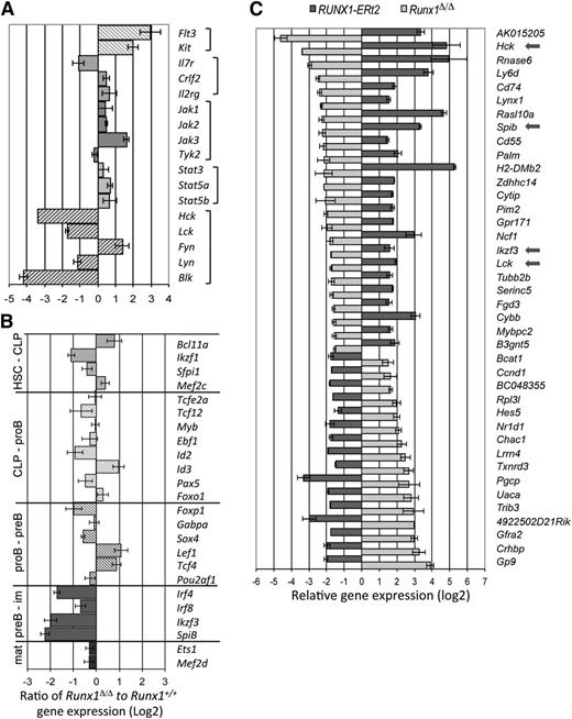 Figure 5. Potential target genes of Runx1 in B-cell development revealed by expression analysis. (A) Differentially regulated genes in pro-B/pre-B cells of Runx1-deficient mice known to encode receptor proteins or their signal effectors that are critical regulators of B-cell development. Qualitative reverse transcriptase-polymerase chain reaction (RT-PCR) analysis confirmed the levels for the Hck, Blk, and Lck genes. (B) Relative expression levels of genes encoding transcription factors from Runx1fl/flCd79ahCre/+ pro-B/pre-B cells were compared with that isolated from Runx1+/+Cd79ahCre/+ mice. Shown are genes encoding transcription factors that are critical for the development of multipotent, lymphoid-restricted, or specific B-cell developmental stages, as indicated. Qualitative RT-PCR analysis confirmed the levels of genes encoding key regulators. (C) Depicted is the relative expression ratio of 40 genes differentially regulated in Runx1-deficient pro-B/pre-B cells compared with controls and reciprocally regulated in a pro-B-cell line that expresses an inducible RUNX1 protein.