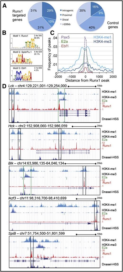 Figure 6. Genomewide analysis of Runx1 occupancy in pro-B cells confirms binding to enhancer regions and colocalization with SpiB/Pu.1 and Ebf1 binding sites. (A) Distribution of Runx1-bound regions in relation to potential Runx1 target genes demonstrates an enrichment of Runx1 occupancy within close proximity to the regulated genes. The nearest peak to genes deregulated in either gain- or loss-of-function expression or to control genes, exhibiting similar expression levels but whose expression remains constant, was determined. Identified peaks were classified based on their relative position to their associated gene as (1) intragenic (between or coincident with gene boundaries); (2) proximal (within 10 kb upstream or downstream); (3) distal (between 10 and 100 kb upstream or downstream); or (4) >100 kb from gene boundaries. (B) Sequence logos corresponding to enriched sequence elements identified by de novo motif analysis of Runx1-binding sites. The frequency of the enriched motif near Runx1 summits (±100 bp) is indicated (n = 500), as is the calculated E-value. (C) The frequency of Runx1 peaks with a summit mapping at the indicated distance from the summits of E2a, Pax5, or Ebf1 peaks or H3K4me marks in pro-B cells6,24 is shown. (D) Snapshot of relevant gene loci demonstrating association of Runx1-bound regions with E2a-binding sites and regions with mono- and trimethylated H3K4 mapped in pro-B cells6 and DNaseI hypersensitive sites mapped in B cells.50 The University of California - Santa Cruz Genome Browser was used to visualize binding patterns. Vertical rectangles mark regions with proposed enhancer (black) or promoter (green) functions.