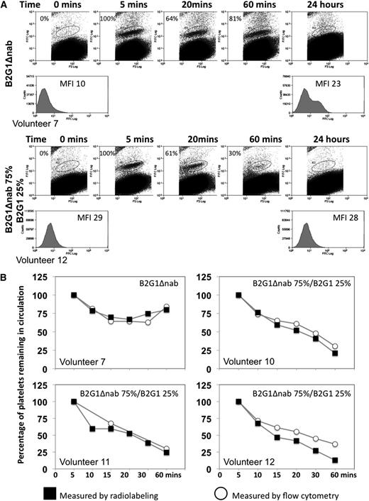 Figure 2. In vivo platelet tracking using flow cytometry. (A) Flow cytometric data showing sensitized platelets in peripheral blood. Sensitized platelets can be detected with an FITC-labeled anti-human IgG antibody in the peripheral blood after re-injection. Platelet sensitized with B2G1Δnab (top panel) are detected up to 1 hour post-reinjection but after 24 hours the antibody has redistributed to the whole platelet population as evidenced by the shoulder on the histogram and increased MFI for the whole platelet population. In contrast, when platelets are sensitized with a combination of 75% B2G1Δnab/25% B2G1, the majority of platelets are rapidly cleared from circulation after 60 minutes. (B) Correlation between flow cytometry and radiolabeling studies data in 4 volunteers. The percentage of platelets (normalized at 100% at the 5-minute time point) remaining in circulation in the first hour, measured either by flow cytometry or radiolabeling, is consistent between the 2 methods. Over 75% of platelets sensitized with B2G1Δnab only remain in circulation (n = 1) while platelets sensitized with 75% B2G1Δnab/25% B2G1 show a sharp decrease in the first hour down to below 25%.