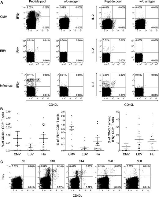 Figure 2. CD40L+ CD8+ T cells in human antigen–specific responses. (A) Human PBMCs from healthy donors were stimulated with peptide pools from different virus antigens. The dot-plots show representative intracellular cytokine and CD40L staining of CD3+ CD8+ CD4−–gated lymphocytes. (B) The frequencies of CD40L+ and IFN-γ+ virus-specific CD8+ T cells and the corresponding ratio of CD40L+ cells among virus-specific IFN-γ+ CD8+ T cells are summarized for CMV (n = 16), EBV (n = 17), and flu (n = 26) (mean ± SEM). (C) At different time points after YFV vaccination, PBMCs from healthy donors were stimulated with the immunodominant peptide YFV-NS4B. The dot-plots show the intracellular IFN-γ and CD40L staining of CD3+ CD8+ CD4−–gated lymphocytes from 1 representative donor (n = 6).