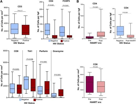 Figure 1. Comparison of reactive lymphocyte markers. (A) Between HIV-infected (positive) and uninfected (negative) patients. AR-DLBCL contains markedly reduced helper (CD4+) and regulatory (FOXP3+) T cells, whereas evaluation of cytotoxic markers showed that it is characterized by a disproportional enrichment in activated (granzyme-positive) tumor-infiltrating cytotoxic T cells. (B) Between pre-HAART and post-HAART HIV-infected patients. Although loss of infiltrating CD4+ T cells is attenuated after the use of HAART, their number remains significantly lower than in sporadic DLBCL.