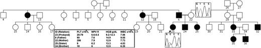 Figure 1. Family pedigree. Black circles and squares indicate affected individuals/D158G heterozygotes. Chromatogram traces are shown for the proband and her wild-type mother. HGB, hemoglobin; MPV, mean platelet volume; PLT, platelet; WBC, white blood cell.
