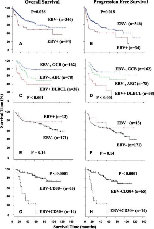 Figure 3. Geographical variations of overall survival and progression-free survival in EBV-positive diffuse large B-cell lymphoma of the elderly. (A-B) EBV-positive DLBCLs of the elderly showed worse overall survival and progression-free survival in Korean patients.13 (C-D) EBV positive DLBCLs of the elderly were more aggressive compared with >60-year-old patients with ABC subtype and GCB subtype in European patients.8 (E-F) In North America, EBV-positive DLBCLs of the elderly showed no difference in overall survival and progression-free survival in comparison with EBV-negative DLBCL patients.100 (G-H) In North America, EBV+CD30+ DLBCL of the elderly showed significant difference in overall survival and progression-free survival in comparison with either EBV+CD30− or EBV−D30+ DLBCL patients.