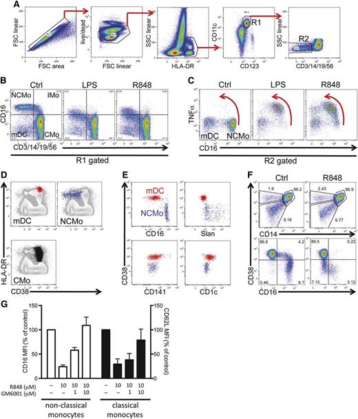 Figure 1. Alternative identification of nonclassical monocytes for the study of the mechanism underling CD16 shedding. (A) Gating strategy used in a representative intracellular cytokine staining experiment on whole-blood stimulations. Cells are selected via sequential gating by the exclusion of doublets and dead cells followed by the positive gating on HLA-DR and CD11c (myeloid mononuclear cells, gate R1). A further gate on lineage-negative cells (R2) is set to select both mDCs and nonclassical monocytes. (B) R1 gated cells are plotted for control, LPS (0.5 μg/mL), and R848 (10 μM) (both reagents from Invivogen) stimulated tubes in a lineage vs CD16 plot to visualize the decrease in CD16 fluorescence intensity following activation in a visualization mode commonly used to identify monocyte subtypes: CMo, IMo, and NCMo. (C) Downregulation of CD16 in NCMo is concomitant with the production of TNFα. Red arrows emphasize the concomitant intracellular accumulation of TNFα and loss of surface CD16. (D-E) Distribution of CD38 in different myeloid mononuclear populations. mDC (red), NCMo (blue), and CMo (black) identified essentially as described in panels A through C are overlaid on total mononuclear cells (gray) in HLA-DR vs CD38 plots (D). (E) Segregation of DC subsets defined by the expression of CD16, slan, CD141, and CD1c into CD38-positive and -negative lineageneg myeloid mononuclear cells. (F) In the top 2 panels, HLA-DR+CD11c+ cells were plotted in CD14 vs CD38 bivariate plots for both Ctrl- and R848- (10μM, 1 hour) stimulated tubes to show how mDC, NCMo, and CMo can be segregated one from another by the use of CD38. The bottom 2 plots illustrate the decrease in CD16 expression occurring following stimulation with R848; CD38, in contrast, remains unchanged. (G) Dose-dependent inhibitory effect of the panmetalloprotease inhibitor GM6001/Ilomastat (Sigma-Aldrich) on CD16 (□) and CD62L (▪) shedding induced by 1-hour incubation with R848 (both reagents were added at the same time at the starting of the culture; bars are means, and error bars represent SD of 3 experiments from 3 distinct donors). Cells are gated on CD11c+HLADR+; CMo are identified as being CD14+CD38+, while nonclassical monocytes are CD14low/−CD38−. Cytometric off-line analysis was performed with FlowJo software (Tree Star), and generated numerical data graphed in Prism (GraphPad). Ctrl, control; CMo, classical monocyte; FSC, forward scatter; IMo, intermediate monocyte; LPS, lipopolysaccharide; mDC, myeloid dendritic cells; MFI, mean fluorescence intensity; NCMo, nonclassical monocyte; SSC, side scatter.