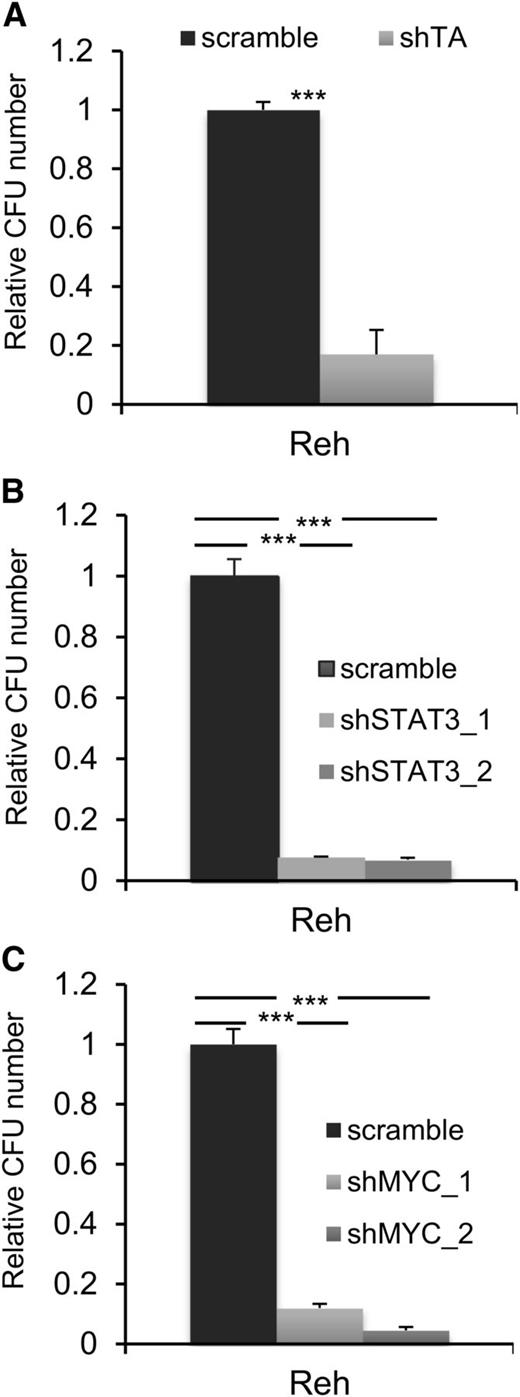 Figure 5. STAT3 is necessary for colony formation by TEL-AML1+ cells. (A-C) Colony formation in methylcellulose by Reh cells 6 days after transduction with control scramble or shTA (A), shSTAT3 (B), or shMYC (C) shRNA. Plots show the number of colonies formed relative to control cultures, columns representing mean ± standard deviation values of triplicate cultures. Data are representative of 3 independent experiments. **P < .01, ***P < .005 compared with control (Student unpaired t test). CFU, colony-forming unit.