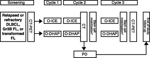 Figure 1. Treatment protocol. Routine cycle length was 21 days. *Stem cell mobilization could be performed in cycle 2 and/or cycle 3. FL, follicular lymphoma; Gr3B, grade 3B; O, ofatumumab; PD, progressive disease.