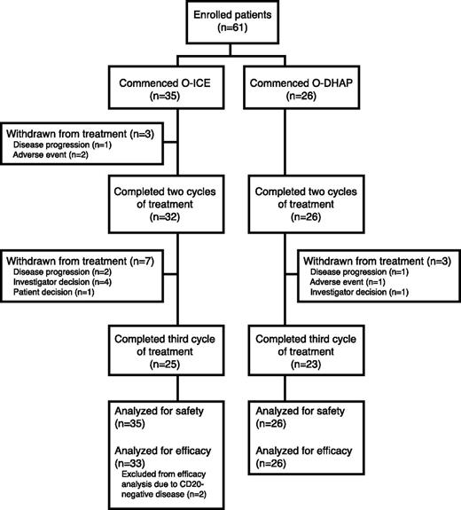 Figure 2. CONSORT diagram of distribution of patients according to treatment assignation. O, ofatumumab.