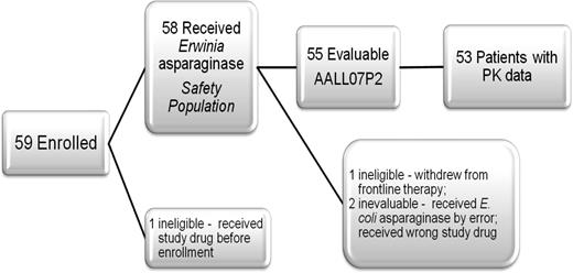 Figure 1. Analysis of patients enrolled on AALL07P2. PK, pharmacokinetic.