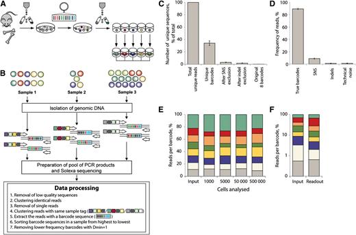 Figure 1. Combining cellular barcoding with multiplex deep sequencing – setup and method validation. (A) Individually barcoded LSK48−150+ cells were monoclonally expanded in liquid culture. (B) Different numbers of cells from expanded barcode cultures were mixed to generate samples with different ratios of barcodes and different total cell numbers. After isolation of genomic DNA, individual samples were amplified with primers bearing multiplex tags. Pooled PCR products were analyzed on Illumina HiSeq 2000 (Illumina, Inc., San Diego, CA). Steps of data processing and noise filtering are described. Dmin refers to minimal distance or nucleotide difference between 2 barcodes. (C) Number of unique sequencing reads (sequences different at any sequence position from all other reads) that remain after removal of noise calculated based on calibration samples. (D) Calculated reads frequencies (proportions of total number of reads in a multiplexed sample) related to true barcodes and various sources of noise. (E) Distribution of barcode frequencies in calibration samples with different cell content (1000 to 500 000). The original ratio of mixed barcodes was 1:1:1:1:1:1:1:2 (top barcode, green). Each color represents a distinct barcode. (F) Barcode analysis in a sample with highly unequal barcode composition (1:5:10:10:25:25:50:55). Barcodes comprising 0.55% of the total mix (gray) could be quantitatively detected.