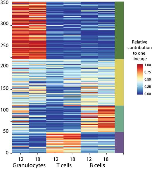 Figure 4. Relative lineage contributions of 350 barcoded clones found in 6 polyclonally-repopulated mice. Only clones that contributed at least 0.5% to one of the lineages 12 to 24 weeks post-transplant are shown. To assess relative contributions to granulocytes (and other lineages), the barcode representation in granulocytes was divided by total barcode representation (granulocytes + T cells + B cells). Clonal fluctuations within these mice are shown in Figure 3B.