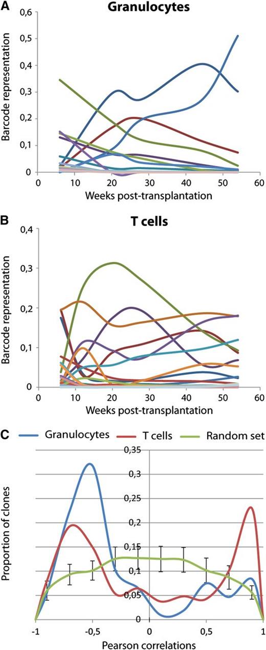 Figure 5. Clonal dynamics in long-term hematopoiesis. (A-B) Barcode fluctuations from 6 to 54 weeks after transplant are shown for one mouse in granulocytes (A) and T lymphocytes (B). Different colors represent different barcodes. (C) Pearson correlations of clonal sizes with time trend for clones detected at 0.5% or higher frequency at any of the time points in the respective lineage. Positive correlation indicates that the clone is consistently growing, and negative correlation reflects decline. Proportions of T cells (red) and granulocytes (blue) are plotted. The green line shows randomly expected correlations for 200 clones simulated 20 times (average values and standard deviations for 20 simulations are shown). Fluctuations in granulocytes reflect behavior of 107 barcodes and in T cells of 187 barcodes. Mice used for this analysis were transplanted with sorted barcoded cells (that were identified in Figure 2 with dark squares).