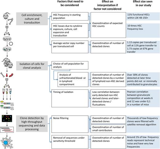 Figure 7. Factors that influence HSC clonal counts at different stages of analysis. Methodologic steps of planning, implementation of experiments, and barcode data analysis are shown. For each step, we indicate how experimental setup and approach may influence conclusions of analysis. The diagram aims to point out the factors that we found critical in the currently described experiments, but it is not exhaustive. For instance, the setup of transplantation experiments, number of transplanted cells, and irradiation regimens can also influence clonal counts.