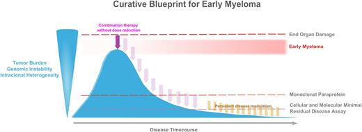 Figure 1. A curative blueprint for myeloma requires multiple components. The first step is to define patients with “early myeloma” and initiate therapy prior to end-organ damage. These patients would have less tumor burden, genomic instability, and intraclonal heterogenetity than patients with more advanced myeloma. Highly active combination therapy for early myeloma could be delivered without dose delay or dose reduction. Cellular and molecular assays for minimal residual disease (MRD) could be used to define disease eradication, guide strategies for persistent disease modulation (maintenance therapy), and monitor for relapse prior to appearance of a monoclonal paraprotein.