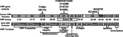 Figure 1. Scale schematic of VWF missense variants associated with levels of VWF or FVIII levels in African Americans (AAs). The location of each of VWF variants with significant univariate associations with VWF and/or FVIII levels in AAs are indicated by arrows to the corresponding commonly annotated VWF domain (top). An alignment with the recently revised VWF domain annotation6 is also shown (bottom). Two variants, I1380V and N1435S, are in strong LD (r2 = 0.89) and are therefore represented together.