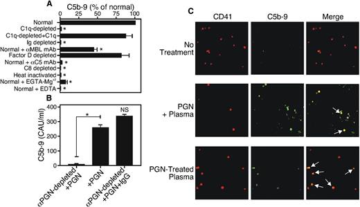 Figure 7. PGN–anti-PGN immune complexes activate the classical complement pathway to induce C5b-9 complex formation. (A) Normal serum, Ig-depleted serum, commercial serum that was C1q-, C8-, or Factor d–depleted, or serum to which 10 µg/mL neutralizing antibodies to C5 or MBL were added, was incubated with 10 μg/mL PGN at 37°C for 1 hour, and the reaction was stopped by 10 mM EDTA. The serum was added to wells of an ELISA plate precoated with aE11 antibody to capture activated C5b-9. After washing, C5b-9 was detected using biotin–anti-human C6 (clone 9C4) and streptavidin-HRP. (B) Plasma (100 μL) was depleted of anti-PGN antibodies by incubation with PGN (10 μg) overnight at 4°C and the PGN–anti-PGN immune complexes were removed by centrifugation. The supernatant was reconstituted or not with normal human IgG (500 µg/mL), and C5b-9 formation was determined by ELISA as described in panel A. *P < .05.; NS, not significant. (C) Washed platelets were stimulated with PGN preincubated with plasma (PGN + plasma) or PGN-treated plasma supernatant (PGN-treated plasma) at 37°C for 20 minutes. The cells were fixed, stained with Cy5 anti-human CD41 and FITC anti-human C5b-9 and viewed with a Zeiss LSM 510 confocal microscope at ×100 magnification. Arrows point to colocalized CD41+ platelets and FITC-C9. The results are representative of 3 similar experiments. *P < .05.