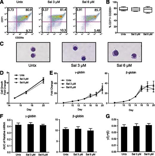 Figure 3. Salubrinal does not change cellular differentiation, proliferation, or globin gene expression in human primary erythroid cells. (A) Fluorescence-activated cell sorter analysis was performed with antibodies recognizing CD71 and CD235a on day 20. This representative experiment shows that salubrinal (Sal) does not change the overall differentiation profile relative to the untreated control (Untx). (B) Flow cytometry was performed in five independent experiments using two different donors to quantify CD71 and CD235a cell surface markers on day 20. Salubrinal (Sal) (3 μM and 6 μM) were compared with the untreated control. This box-and-whisker plot shows the distribution of the percent of cells that are double positive for CD71 and CD235a. The lines inside the box show the median, the boxes show the quartiles, and the whiskers show the extremes of the observed percentages. (C) Modified Wright-Giemsa staining of untreated and Sal treated cells on day 19 reveals similar stages of erythroid differentiation. Images were obtained with an Olympus BX51 microscope, 40× magnification, and Image-Pro Plus 7.0 software. (D) Sal does not alter cell growth during the treatment period. Sal was treated on days 15 and 18 and the fold increase of cell growth was compared with the untreated control on day 15. Cells were counted on days 15, 17, and 20 using trypan blue exclusion. Error bars represent ± SEM of three independent experiments (two unique donors). (E) The mRNA expression of γ- and β-globin was evaluated over the course of differentiation from day 7 through day 20. Sal treatments (3 μM and 6 μM) occurred on days 15 and 18, and the fold increase relative to the untreated control day 7 sample is shown. No significant changes in γ-globin or β-globin mRNA levels are observed. Error bars represent ± standard error of the mean of 3 independent experiments (2 different donors). (F) The AUC was calculated for γ- and β-globin mRNA expression from days 7 through 20. This representation of the data allows quantification of the total mRNA from each gene available for translation over the course of erythroid differentiation. Sal treatments (3 μM and 6 μM) on days 15 and 18 did not change the γ- or β-globin AUC relative to the untreated control. Error bars represent ± standard error of the mean of 3 independent experiments (2 different donors). (G) The AUCs for γ-globin and β-globin were compared as a γ/(γ + β) ratio. Sal treatment (3 μM and 6 μM) did not change this ratio relative to the untreated control in 3 independent experiments using 2 unique donors. Error bars denote ± standard error of the mean.