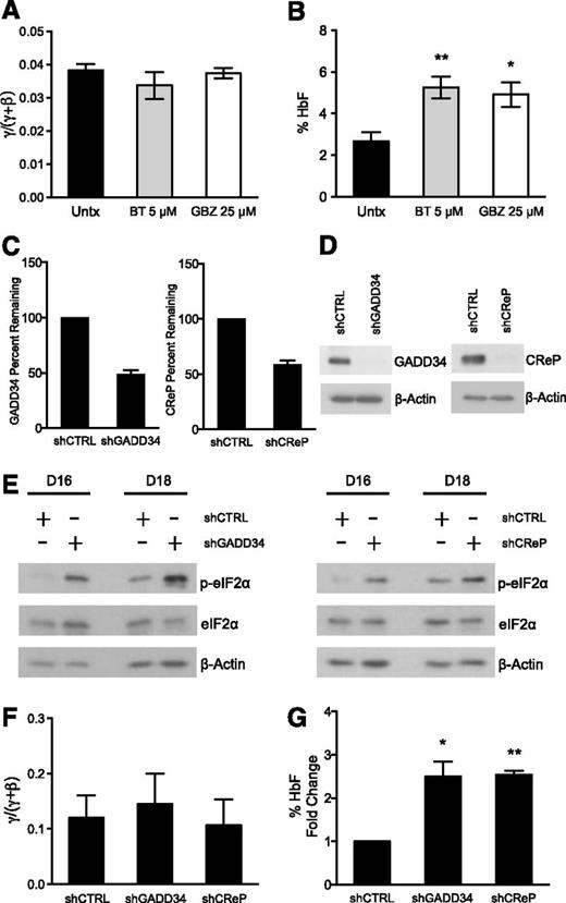 Figure 5. Complementary pharmacologic and genetic methods augment p-eIF2α and increase HbF. (A) Human primary erythroid cells were treated with 5 μM BT and 25 μM GBZ on days 15 and 18 of differentiation. The mRNA expression for γ- and β-globin was assessed from day 7 through day 20 and the AUC was calculated for each. BT and GBZ treatments did not change the γ/(γ + β) AUC mRNA ratio relative to untreated control. The error bars represent ± standard error of the mean of 3 independent experiments assessing BT treatment and 2 independent experiments analyzing the effects of GBZ. (B) HPLC was used to determine the amount of HbA and HbF present on day 20 from lysates prepared from erythroid progenitors treated with 5 μM BT and 25 μM GBZ. Both BT and GBZ significantly increase the percentage of HbF relative to the untreated control. Error bars represent ± standard error of the mean of 3 independent experiments assessing BT treatment and 2 independent experiments analyzing GBZ-treated cells. P values were determined using an unpaired two-tailed t test. *P < .05; **P < .01. (C) Differentiating human primary erythroid progenitors were infected with a control shRNA (shCTRL) and shRNAs targeting either GADD34 (shGADD34) or CReP (shCReP) on days 12 and 13. On day 16, transcript levels were evaluated for GADD34 and CReP using quantitative PCR. Both shGADD34 and shCReP resulted in approximately 50% knockdown when normalized to the shCTRL. Error bars denote ± standard error of the mean of 3 independent experiments (3 different donors). (D) Western blot analysis shows shGADD34 and shCReP result in significant knockdown of GADD34 and CReP protein, respectively, in comparison with shCTRL. Protein lysates were taken on day 16 of differentiation after 2 infections on days 12 and 13. As a loading control, β-actin was used. (E) Protein lysates were taken on days 16 and 18 of differentiation from erythroid progenitors infected with shCTRL, shGADD34, or shCReP. Western blot analysis reveals both shGADD34 and shCReP significantly increase p-eIF2α levels compared with shCTRL. Total eIF2α and β-actin were used as loading controls. (F) The mRNA expression of γ- and β-globin was assessed throughout differentiation. The AUC was compared as a γ/(γ + β) mRNA ratio. shGADD34 and shCReP did not change the γ/(γ + β) ratio relative to the shCTRL. Error bars express ± standard error of the mean of 3 independent experiments (3 unique donors). (G) HPLC was performed on day 20 of differentiation to assess the percentage of HbF in shCTRL-, shGADD34-, and shCReP-infected cells. Due to the differences in HbF levels at baseline among donors, the percentage of HbF is shown as fold increase over the shCTRL. Both shGADD34 and shCReP significantly enhances the percentage of HbF relative to the control. Error bars express ± standard error of the mean of 3 independent experiments (3 different donors). P values were determined using 1 sample, two-tailed t test. *P < .05; **P < .01.