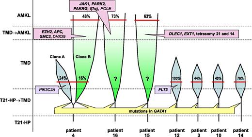 Figure 1. Model of progression of 7 cases of DS-related TMD/AMKL. Boxes indicate the genes with putative driver mutations. Genes in bold type are common with other leukemias; those in italics are not reported in leukemia, but in other types of malignancy. Red bars indicate the time point at which the tumor sample was taken. Numbers indicate percentages of leukemic cells based on the quantifications of reads with the somatic mutations from exome sequencing. Tumors presented in blue are self-regressed TMDs, and those in green are AMKLs. T21-HP, hematopoietic precursors with trisomy 21; ?, for AMKLs 15 and 16, a TMD sample was not available and it is unknown whether there were mutations acquired in this phase.