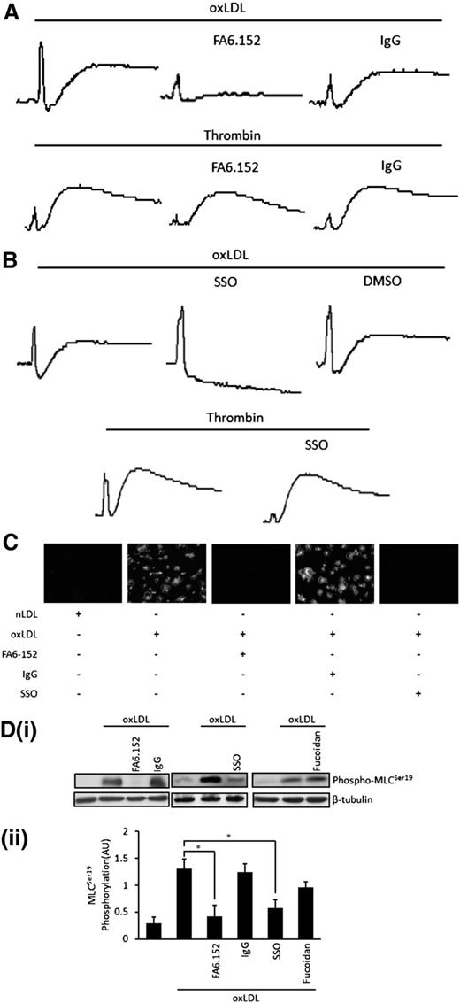 Figure 3. OxLDL signals through CD36 to induce platelet shape change. (A) Platelets (2.5 × 108/mL) were treated with FA6.152 (1 µg/mL) or control IgG (1 µg/mL) for 15 minutes in the presence of apyrase (2 U/mL), indomethacin (10 µM), and EGTA (1 mM) followed by stimulation with oxLDL (50 µg/mL) or thrombin (0.05 U/mL). Traces were recorded for 2 minutes. Shown are representative traces of 7 independent experiments. (B) Samples were processed as in (A), except that platelets were treated with SSO (50 μM) or DMSO. Shown are representative traces of 3 separate experiments. (C) Platelets (5 × 107/mL) were adhered to nLDL or oxLDL (50 μg/mL) slides in the presence or absence of SSO (50 μM), FA6.152 (1 µg/mL), or control IgG (1 µg/mL), for 30 minutes and were viewed by fluorescence microscopy. Representative images of 3 independent experiments were taken under ×60 magnification. Bar = 20 µm. (D) Platelets (3 × 108/mL) were treated with FA6.152 (1 µg/mL) or control IgG (1 µg/mL), SSO (50 μM), or fucoidan (5 μg/mL) for 15 minutes in the presence of apyrase (2 U/mL), indomethacin (10 µM), and EGTA (1 mM) followed by stimulation with oxLDL (50 µg/mL) for 15 seconds. Platelets were lysed and separated by SDS-PAGE and immunoblotted for phospho-MLCSer19, followed by reprobing for β-tubulin. (Di) Representative blots. (Dii) Densitometric analysis of 3 independent experiments. Data are presented as mean ± SEM. *P < .05.