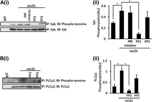 Figure 5. OxLDL stimulates the activation of Syk and PLCγ2, leading to the phosphorylation of MLC. (A) Platelets (7 × 108) were treated with JNK inhibitor 1 (10 µM), PP2 (20 µM), or PP3 (20 µM) for 20 minutes followed by stimulation with oxLDL (50 µg/mL) for 15 seconds. Platelets were then lysed and Syk immunoprecipitated. Samples were subsequently separated by SDS-PAGE and were immunoblotted for phosphotyrosine, followed by reprobing for total Syk. (Ai) Representative blots. (Aii) Densitometric analysis of 3 independent experiments. *P < .05. (B) Platelets (7 × 108) were treated with PP2 (20 µM) or PP3 (20 µM) for 20 minutes, followed by stimulation with oxLDL (50 µg/mL) for 15 seconds. Platelets were then lysed and PLCγ2 immunoprecipitated. Samples were subsequently separated by SDS-PAGE and were immunoblotted for phosphotyrosine, followed by reprobing for total PLCγ2. (Bi) Representative blots. (Bii) Densitometric analysis of 3 independent experiments. *P < .05. All experiments were carried out in the presence of apyrase (2 U/mL), indomethacin (10 µM), and EGTA (1 mM). Densitometric data are expressed as mean ±SEM.