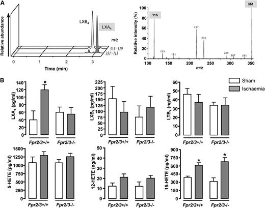 Figure 3. LC/MS/MS-based lipidomic analysis. (A) Left panel. Spectrum of relative peaks for LXA4 and LXB4. Right panel, LXA4 signature fragment ions reported as m/z, highlighting the 2 diagnostic fragments at 115 and 351 (351 is the ion mass). (B) Measurements of LXA4 levels and other bioactive lipid mediators in mouse plasma. Besides LXA4, values for LXB4, leukotriene (LT) B4, 5-HETE, 12-HETE, and 15-HETE are reported as measured in wild-type (Fpr2/3+/+) and null (Fpr2/3−/−) mice, in sham or ischemic (30 minutes’ occlusion of the mesenteric artery) conditions. Mean ± SEM of 6 mice; *P < .05 vs respective sham-operated mice.