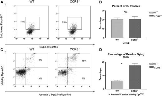 Figure 5. CCR8 −/− Tregs undergo enhanced apoptosis. (A-B) B6D2 recipients were lethally irradiated on day −1 and then administered 3 × 106 TCD BM cells from WT B6 donors plus 1 × 106 column-purified CD4+CD25+ Tregs from WT eGFP+ B6 or CCR8−/− eGFP+ B6 mice on day 0. Then 4 × 106 CD25-depleted eGFP– Tcons from WT B6 donors were administered on day +2. On transplant day +14, recipient animals were each administered 250 µL of BrdU (Invitrogen) by intraperitoneal injection. After 3 hours, these mice were euthanized, their spleens disrupted, and the cells stained with an anti-BrdU antibody. Donor Tregs within the recipient spleen were then evaluated for BrdU uptake by flow cytometry using an eGFP+Foxp3+ gate. (A) Representative flow cytometry plots of a WT and CCR8−/− Treg recipient are depicted. (B) The percentages of BrdU+ Tregs are depicted graphically; n = 5 mice per treatment group. (C-D) B6D2 recipients were lethally irradiated on day −1 and then administered 3 × 106 TCD BM cells from WT eGFP– B6 donors plus 1 × 106 column-purified CD4+CD25+ Tregs from WT eGFP+ B6 or CCR8−/− eGFP+ B6 mice on day 0. Then 4 × 106 CD25-depleted eGFP– Tcons from WT B6 donors were administered on day +2. On transplant day +10, recipient mice were euthanized, and their spleens disrupted. Donor Tregs within the recipient spleen were then examined for markers of apoptosis and cell viability by flow cytometry using an eGFP+Foxp3+ gate. A commercially available amine reactive viability dye was used, as standard propidium iodide staining is not compatible with the membrane permeabilization step required for intracellular Foxp3 staining. (C) Representative flow cytometry plots of a WT and CCR8−/− Treg recipient are depicted. (D) The percentages of dead or dying donor Tregs (Annexin Vhigh and/or Viability Dyehigh) are depicted graphically; n = 3 mice per treatment group. *P = .003 by Student t test.