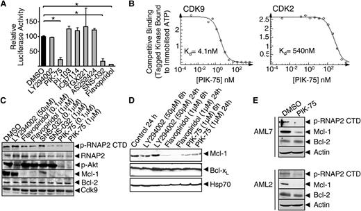 Figure 3. PIK-75 suppresses Mcl-1 through the inhibition of the transcriptional kinases, Cdk7 and Cdk9, and a block in MCL-1 gene transcription. (A) HEK293T cells were cotransfected with constructs expressing the Renilla luciferase gene (TK promoter-driven) and the Firefly luciferase gene (MCL-1 promoter-driven). Cells were treated with DMSO (vehicle), LY294002 (20 μM), PIK-75 (100 nM), PI-103 (100 nM), IC87114 (5 μM), TGX-221 (1 μM), AS252424 (100 nM), SNS-032 (10 μM), or flavopiridol (10 μM) and the relative luciferase activity was determined after 20 hours. Error bars represent standard errors with asterisks indicating P < .05. (B) The binding affinity of PIK-75 to purified recombinant Cdk7 (data not shown), Cdk9, and Cdk2 was measured in the KINOMEscan competition assay (see supplemental Methods). (C) MV4;11 cells were treated with DMSO, LY294002, flavopiridol, SNS-032, or PIK-75 for 8 hours following which cell lysates were immunoblotted with the indicated antibodies. (D) Bax−/−Bak−/− FDM cells were incubated with the indicated drugs following which cell lysates were immunoblotted. (E) Primary AML mononuclear cells were treated with DMSO or PIK-75 (100 nM) for 8 hours following which cell lysates were immunoblotted. Results are typical of at least 2 experiments.