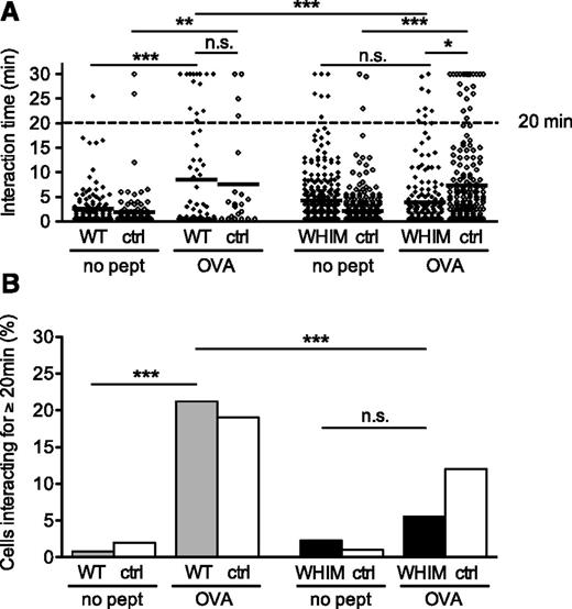 Figure 2. WHIM-mutant CXCR4 impairs T-DC interactions in ex vivo lymph node slice cultures. DCs were either cognate antigen-pulsed (OVA) or unpulsed (no pept). (A) Duration of T-DC interactions within ex vivo lymph node slices imaged by 2-photon microscopy. The summary results of 2 videos per condition are shown. Each dot represents a single T-DC interaction (from left to right, n = 125, 101, 66, 21, 298, 291, 197, and 183). An independent experiment with the T-cell populations labeled with different dyes yielded the same result. A Fisher’s exact test was applied to the number of interactions ≥20 minutes versus the number of interactions <20 minutes. *P < .05; **P < .01; ***P < .001. (B) The percentage of T-DC interactions ≥20 minutes, out of all analyzed interactions. White bars indicate nonretrogenic OVA-specific control T cells; gray bars indicate OVA-specific T cells retrogenically expressing WT CXCR4; black bars indicate OVA-specific T cells retrogenically expressing WHIM-mutant CXCR4. The statistical analysis refers to the Fisher’s exact test, as in (A). ctrl, nonretrogenic OVA-specific T cells; WT, OVA-specific T cells retrogenically expressing WT CXCR4; WHIM, OVA-specific T cells retrogenically expressing WHIM-mutant CXCR4. See also supplemental Videos 1-5. n.s., not significant.