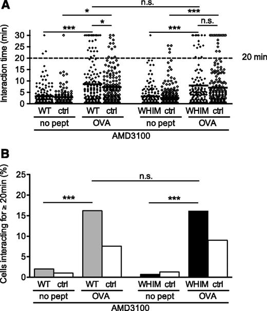 Figure 3. WHIM-mutant CXCR4-mediated impairment of T-DC interactions in ex vivo lymph node slice cultures is reversed by the CXCR4 inhibitor AMD3100. DCs were either cognate antigen-pulsed (OVA) or unpulsed (no pept). (A) Duration of T-DC interactions within ex vivo lymph node slices imaged by 2-photon microscopy in the presence of 12.6 μM AMD3100. The summary results of 2 videos per condition are shown. Each dot represents a single T-DC interaction (from left to right, n = 150, 103, 167, 158, 152, 301, 137, and 178). A Fisher’s exact test was applied to the number of interactions ≥20 minutes versus the number of interactions <20 minutes. *P < .05; ***P < .001. (B) The percentage of T-DC interactions ≥20 minutes, out of all analyzed interactions. White bars indicate nonretrogenic OVA-specific control T cells; gray bars indicate OVA-specific T cells retrogenically expressing WT CXCR4; black bars indicate OVA-specific T cells retrogenically expressing WHIM-mutant CXCR4. The statistical analysis refers to the Fisher’s exact test, as in (A). ctrl, nonretrogenic control OVA-specific T cells; WT, OVA-specific T cells retrogenically expressing WT CXCR4; WHIM, OVA-specific T cells retrogenically expressing WHIM-mutant CXCR4. See also supplemental Video 6. n.s., not significant.