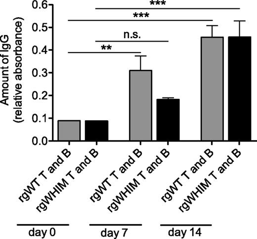 Figure 6. WHIM-CXCR4–expressing retrogenic T cells led to a delay in IgG antisera production. RAG1−/− recipient mice (n = 5 per group) were reconstituted with retrogenic WT (rgWT) or WHIM (rgWHIM) T cells specific for OVA, as well as T-depleted splenocytes, and immunized with NP-OVA. The bars indicate anti-NP IgG titers in the sera at various time points after immunization. **P < .01; ***P < .001 (2-way ANOVA and Bonferroni posttests). n.s., not significant.