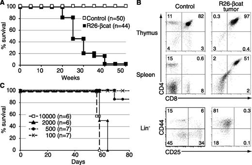 Figure 2. Activation of β-catenin in T cells leads to T-cell leukemia. (A) Kaplan-Meier plot showing the survival curve of R26-βcat vs control mice. (B) Phenotype of thymic and splenic T cells from control and leukemic R26-βcat mice. Bottom panels show the expression of CD44 and CD25 of Lin− (CD4−CD8−CD3−) cells from control thymocytes and R26-βcat tumor cells. Data are representative of 6 mice per genotype. (C) Kaplan-Meier plot illustrating the survival curves of mice transplanted with different numbers of total R26-βcat tumor cells.