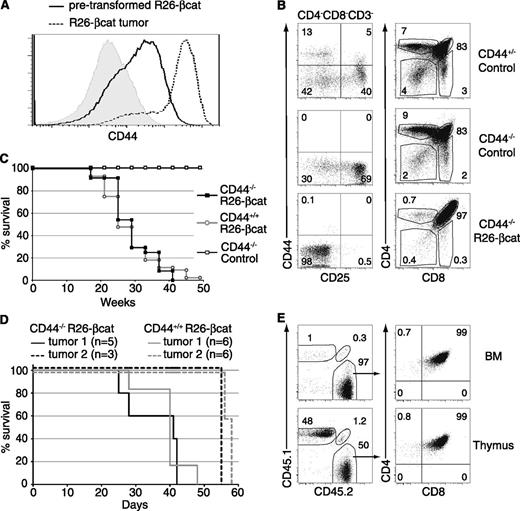 Figure 5. CD44 is not required for R26-βcat leukemia development or engraftment. (A) CD44 expression on DP cells from pretransformed R26-βcat (6-week-old) and leukemic mice compared with control mice (solid gray). (B) Phenotype of a CD44-deficient R26-βcat tumor compared with control thymuses from CD44 deficient or heterozygote mice. Left panels show the CD25 and CD44 expression of DN thymocytes. Right panels show the CD4 and CD8 expression of total thymocytes. (C,D) Kaplan-Meier plot showing the survival curves of (C) CD44-deficient R26-βcat, CD44+/+R26-βcat, or CD44-deficient control mice and (D) mice transplanted with 104 cells from 2 distinct CD44-deficient R26-βcat or CD44+/+R26-βcat tumors. (E) BM and thymus of mice transplanted with CD44-deficient R26-βcat tumor cells were evaluated for CD45.1 and CD45.2 to identify CD45.2+ tumor cells and with CD4 and CD8 to analyze the tumor phenotype (gated on CD45.2+ cells).